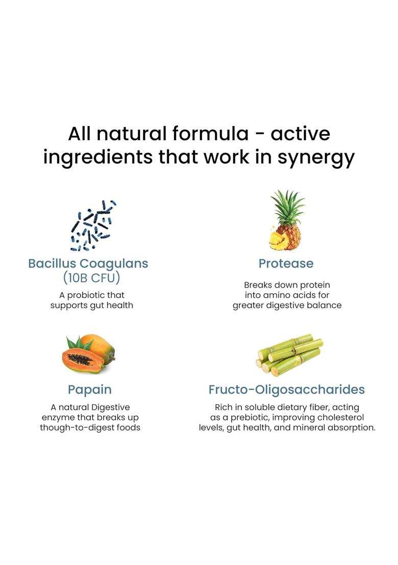 Wellbeing Nutrition Melts Healthy Gut | 10B CFU Probiotics, Digestive Enzymes, FOS - Indya