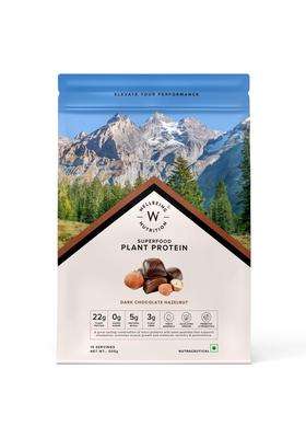 Wellbeing Nutrition Organic Vegan Plant Protein Isolate 22g | 22g Protein, 5g Bcaa, 3B CFU Probiotics, Enzymes, 3g Fiber, 5 Alkalizing Greens