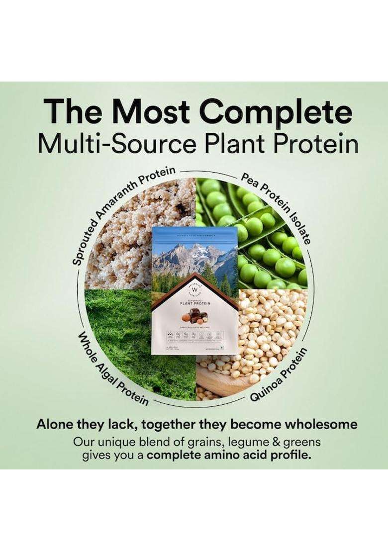 Wellbeing Nutrition Organic Vegan Plant Protein Isolate 22g | 22g Protein, 5g Bcaa, 3B CFU Probiotics, Enzymes, 3g Fiber, 5 Alkalizing Greens - Indya