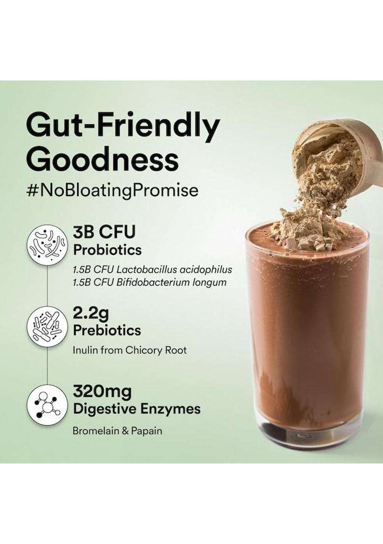 Wellbeing Nutrition Organic Vegan Plant Protein Isolate 22g | 22g Protein, 5g Bcaa, 3B CFU Probiotics, Enzymes, 3g Fiber, 5 Alkalizing Greens - Indya