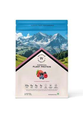 Wellbeing Nutrition Organic Vegan Plant Protein Isolate 22g | 22g Protein, 5g Bcaa, 3B CFU Probiotics, Digest Enzymes, 3g Fiber, 5 Alkalizing Greens