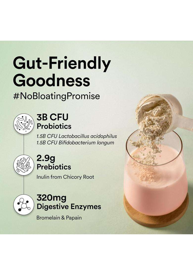 Wellbeing Nutrition Organic Vegan Plant Protein Isolate 22g | 22g Protein, 5g Bcaa, 3B CFU Probiotics, Digest Enzymes, 3g Fiber, 5 Alkalizing Greens - Indya