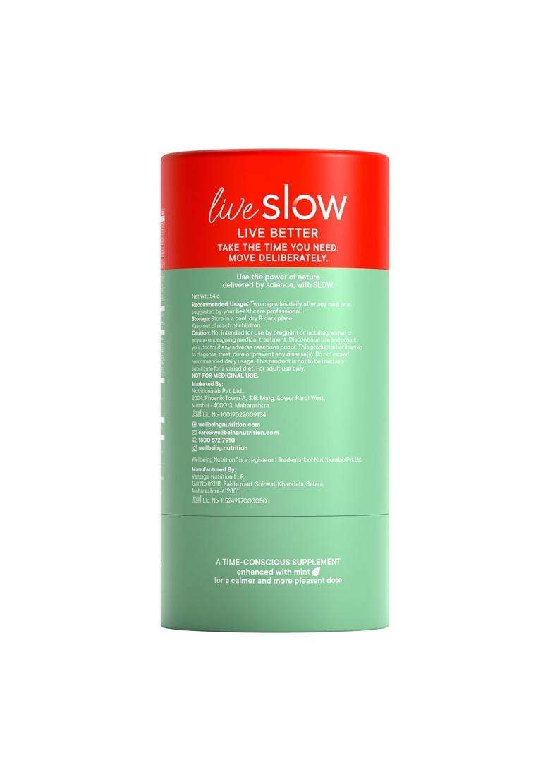 Wellbeing Nutrition Slow Multivitamin + Omega 3 for Men with Probiotics, B-Complex, Ginseng, 23 Vitamins & Minerals, 15 Antioxidants 60 Veg Capsules - Indya