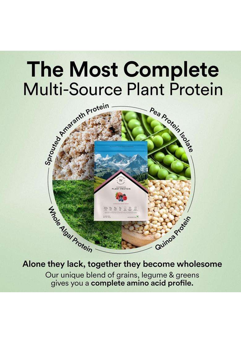 Wellbeing Nutrition Organic Vegan Plant Protein Isolate 22g | 22g Protein, 5g Bcaa, 3B CFU Probiotics, Digest Enzymes, 3g Fiber, 5 Alkalizing Greens - Indya