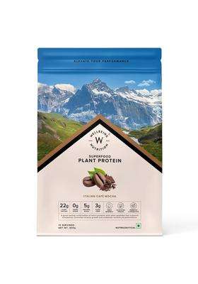 Wellbeing Nutrition Organic Vegan Plant Protein Isolate 22g | 22g Protein, 5g Bcaa, 3B CFU Probiotics, Enzymes, 3g Fiber, 5 Alkalizing Green