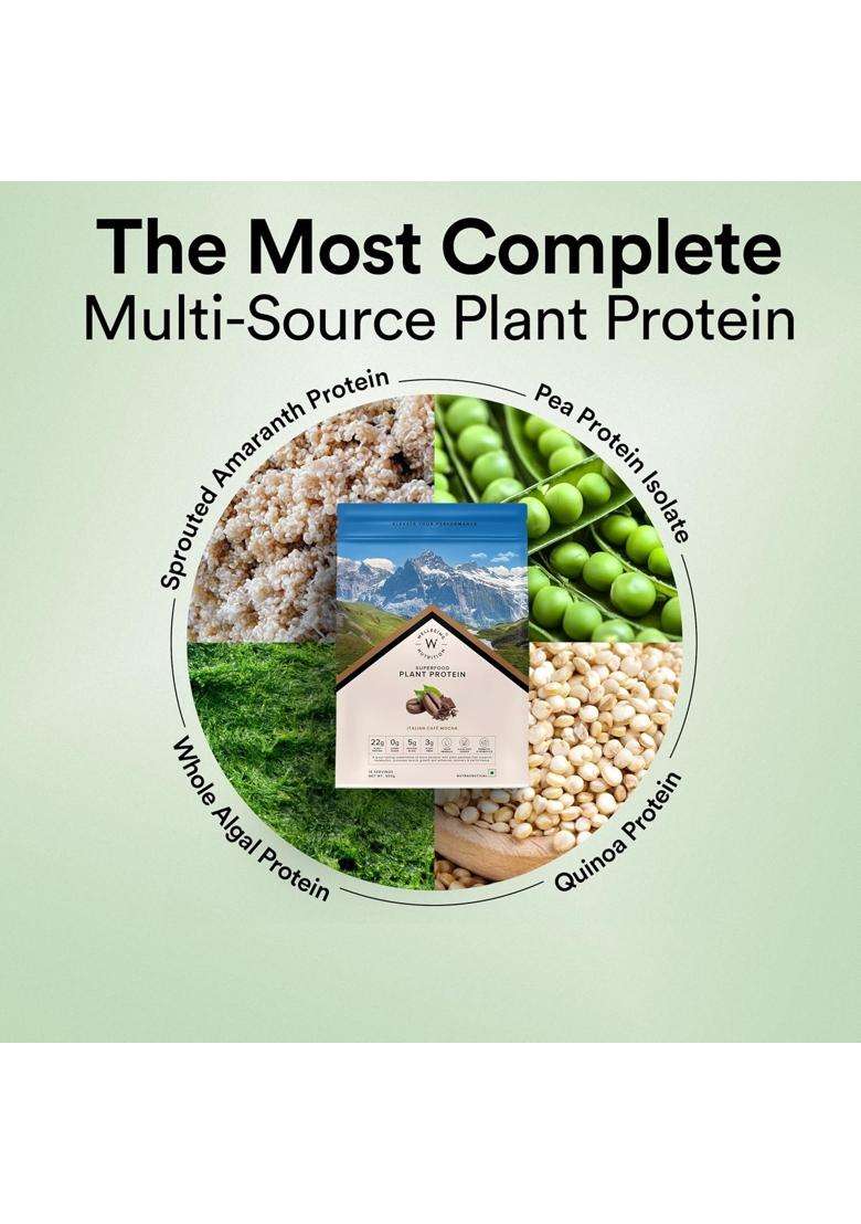 Wellbeing Nutrition Organic Vegan Plant Protein Isolate 22g | 22g Protein, 5g Bcaa, 3B CFU Probiotics, Enzymes, 3g Fiber, 5 Alkalizing Green - Indya