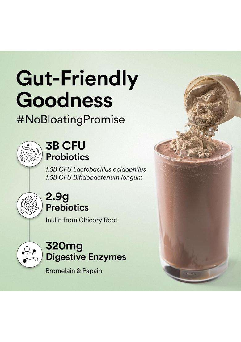 Wellbeing Nutrition Organic Vegan Plant Protein Isolate 22g | 22g Protein, 5g Bcaa, 3B CFU Probiotics, Enzymes, 3g Fiber, 5 Alkalizing Green - Indya