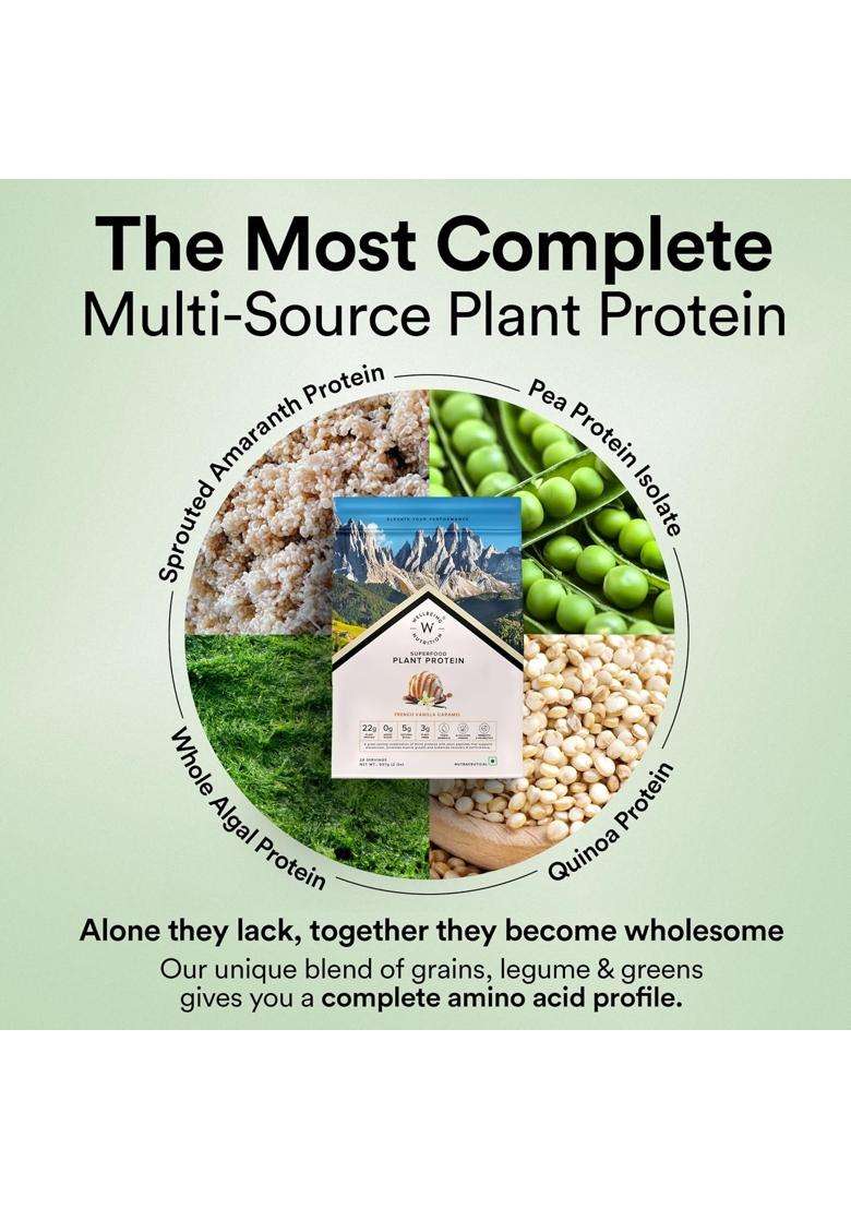 Wellbeing Nutrition Organic Vegan Plant Protein Isolate 22g | 22g Protein, 5g Bcaa, 3B CFU Probiotics, Digestive Enzyme, 3g Fiber, Alkalizing Green - Indya