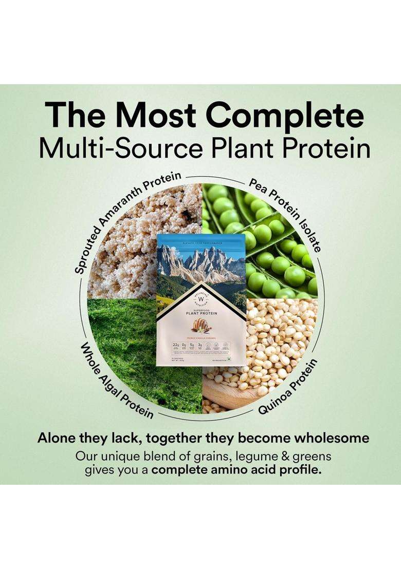 Wellbeing Nutrition Organic Vegan Plant Protein Isolate 22g | 22g Protein, 5g Bcaa, 3B CFU Probiotics, Digestive Enzyme, 3g Fiber, Alkalizing Green - Indya