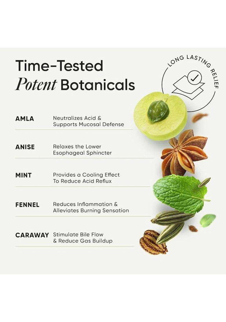 Wellbeing Nutrition Melts Acidity Relief | Authentic Traditional Formula | Instant Relief from Heartburn, Indigestion, Gas & Bloating - Indya