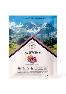 Wellbeing Nutrition Organic Vegan Plant Protein Isolate 22g | 22g Protein, 5g Bcaa, 3B CFU Probiotics, Digest Enzymes, 3g Fiber, 5 Alkalizing Greens