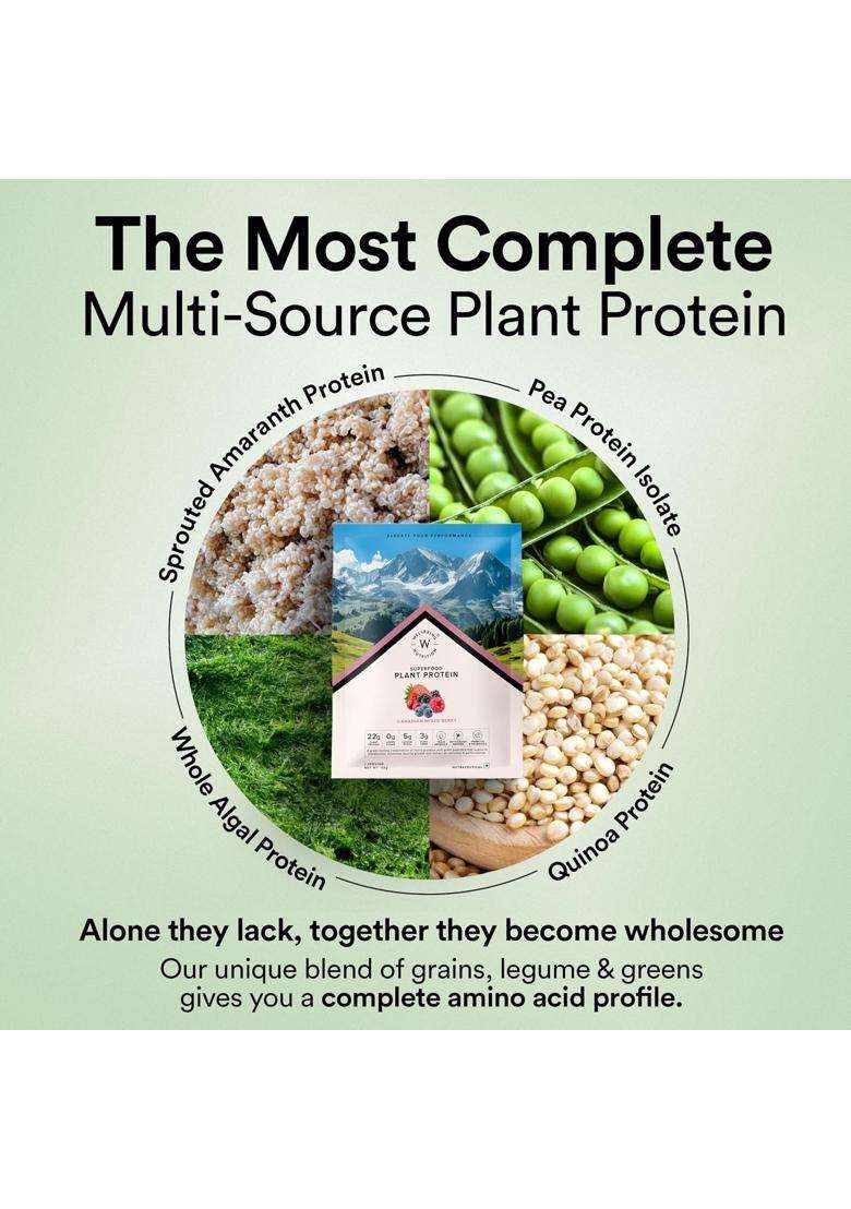Wellbeing Nutrition Organic Vegan Plant Protein Isolate 22g | 22g Protein, 5g Bcaa, 3B CFU Probiotics, Digest Enzymes, 3g Fiber, 5 Alkalizing Greens - Indya