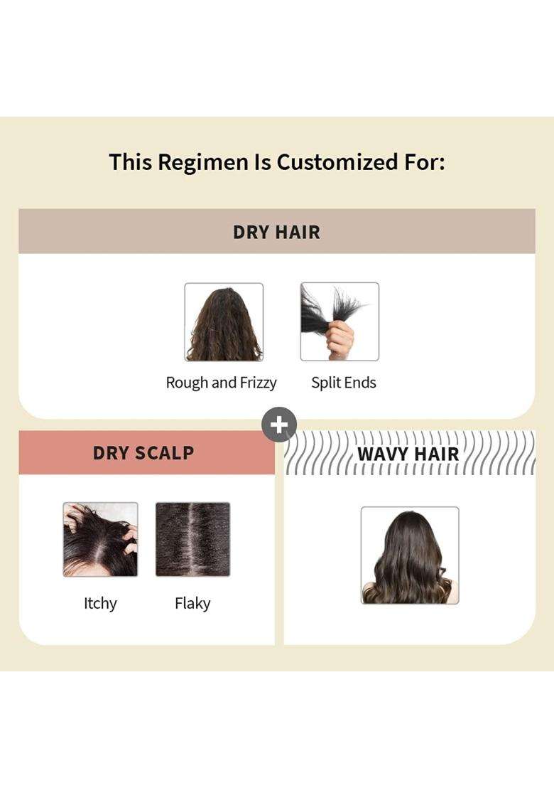 Vedix Ayurvedic Anti-Hairfall 3 Pc Kit 240 ml | Authentic Traditional Formula | Dry Scalp & Wavy Hair - Indya