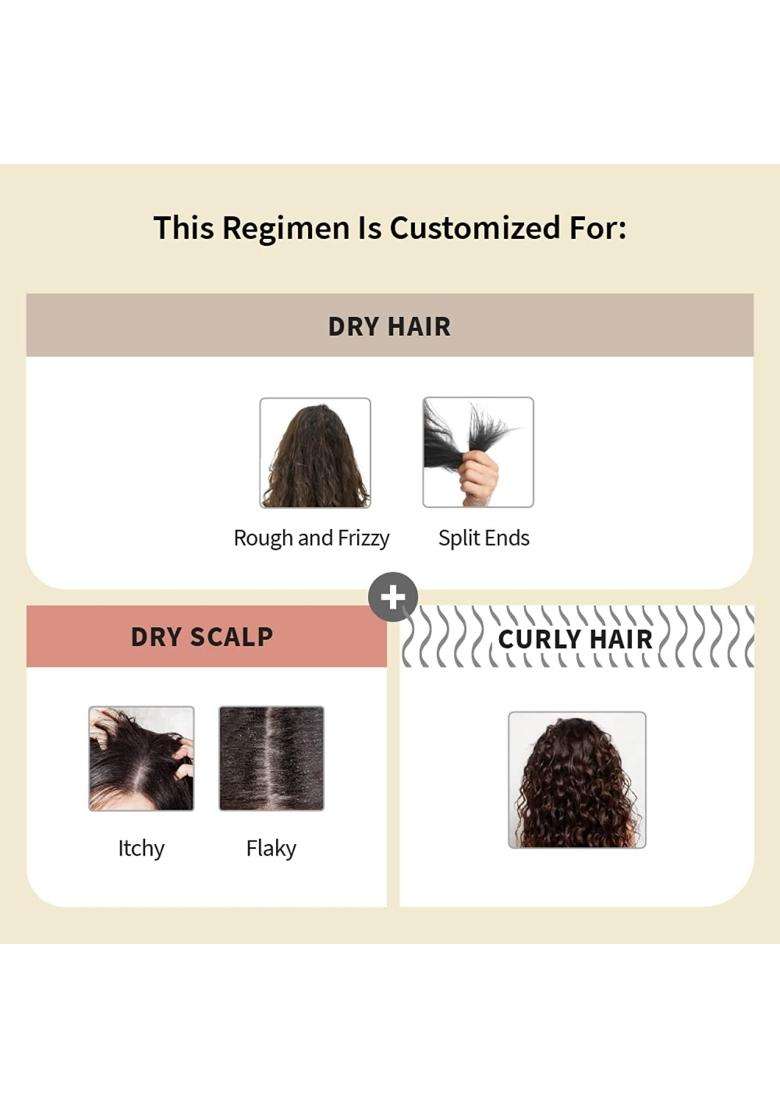 Vedix Ayurvedic Anti-Hairfall 3 Pc Kit 240 ml | Authentic Traditional Formula | Dry & Curly Hair | Dry Scalp - Indya
