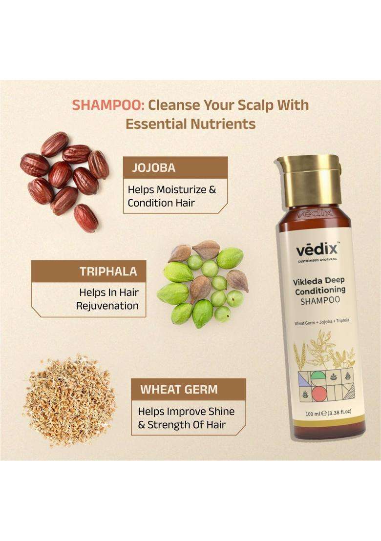 Vedix Ayurvedic HairCare 3 Pc Kit 240 ml | Authentic Traditional Formula | Normal/Oily Scalp & Straight Hair - Indya