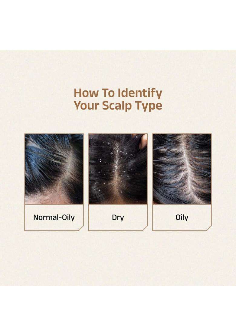 Vedix Niryath Ayurvedic Hair Oil 100 ml (Pack of 3) | Authentic Traditional Formula | Dry Scalp & Straight Hair l - Indya