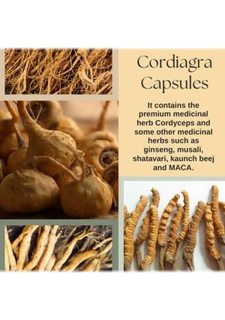 Cordy Herb Mens Sexual Health Supplement Capsules|Pack Of 5| - Indya