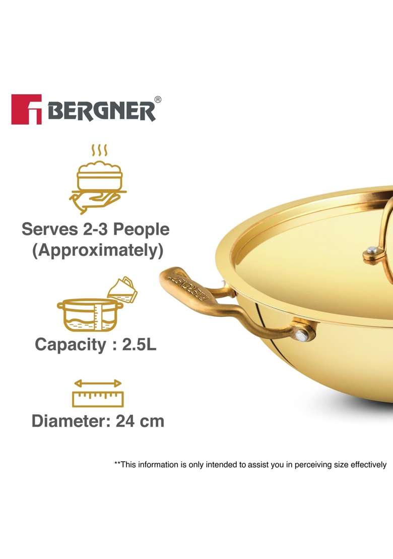 BERGNER Peetlam | 2.5 L | 2.6 Qt | 24 cm | 9.4 Inch | With Lid - Indya