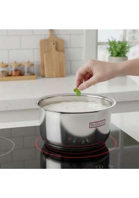 FLIXBLOOM Selected Stainless Steel Triply Sandwich Bottom LPG Friendly Induction Base | 0.5 L | 0.5 Qt