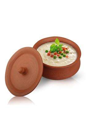 PALVIT CLAY ART GALLERY P.C..G Hand Craft Clay Pot with Lid Clay Dahi Handi for Kitchen | 500 ml | 16.9 fl oz