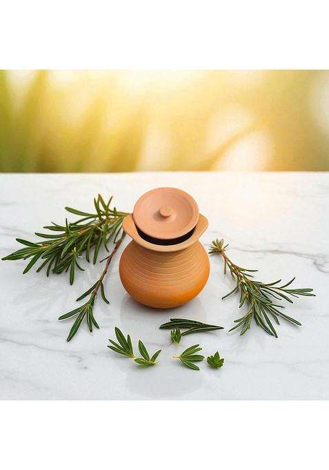 RAJENDER CLAY HANDICRAFT Deep Pot Handmade Clay Handi with Lid | 1 L | 1.1 Qt