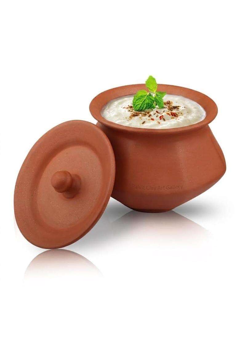 PALVIT CLAY ART GALLERY Phal Handi Terracotta Clay Bowl Pot Phal Handi with Lid for Curd | 500 ml | 16.9 fl oz - Indya