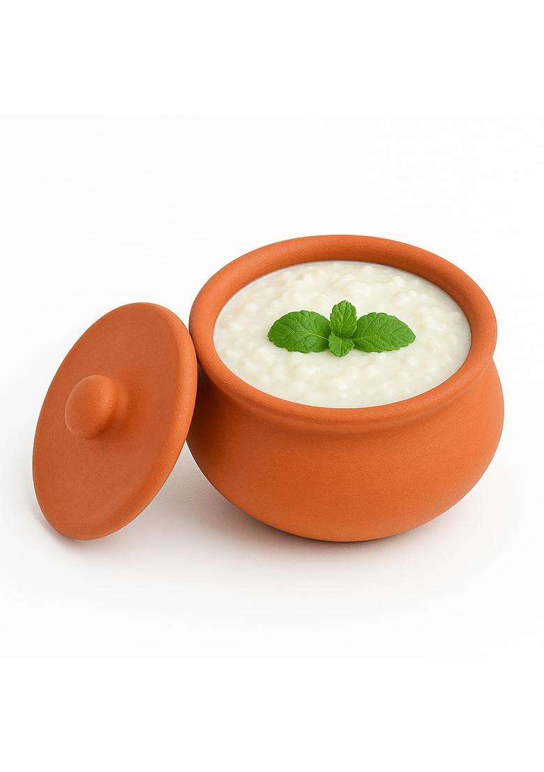 Clay Root Organic Clay Dahi Handi with Lid | 500 ml | 16.9 fl oz - Indya