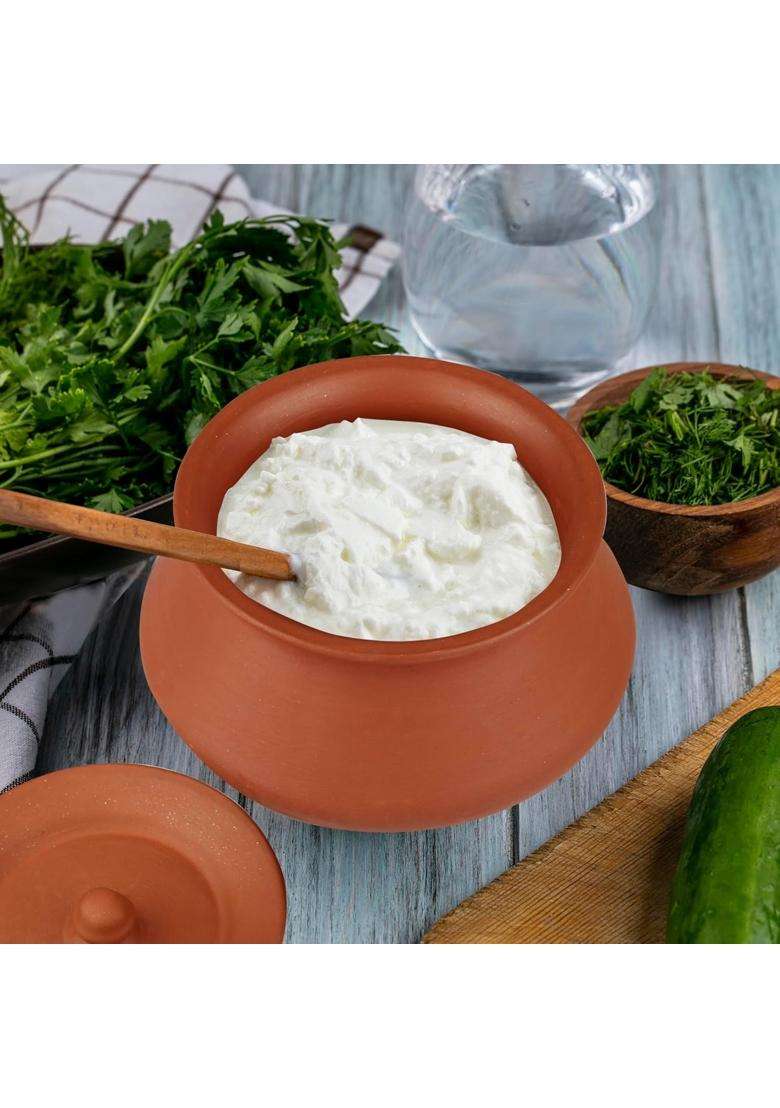 PALVIT CLAY ART GALLERY Handcrafted Clay Pot with Lid for Cooking | 1 L | 1.1 Qt - Indya