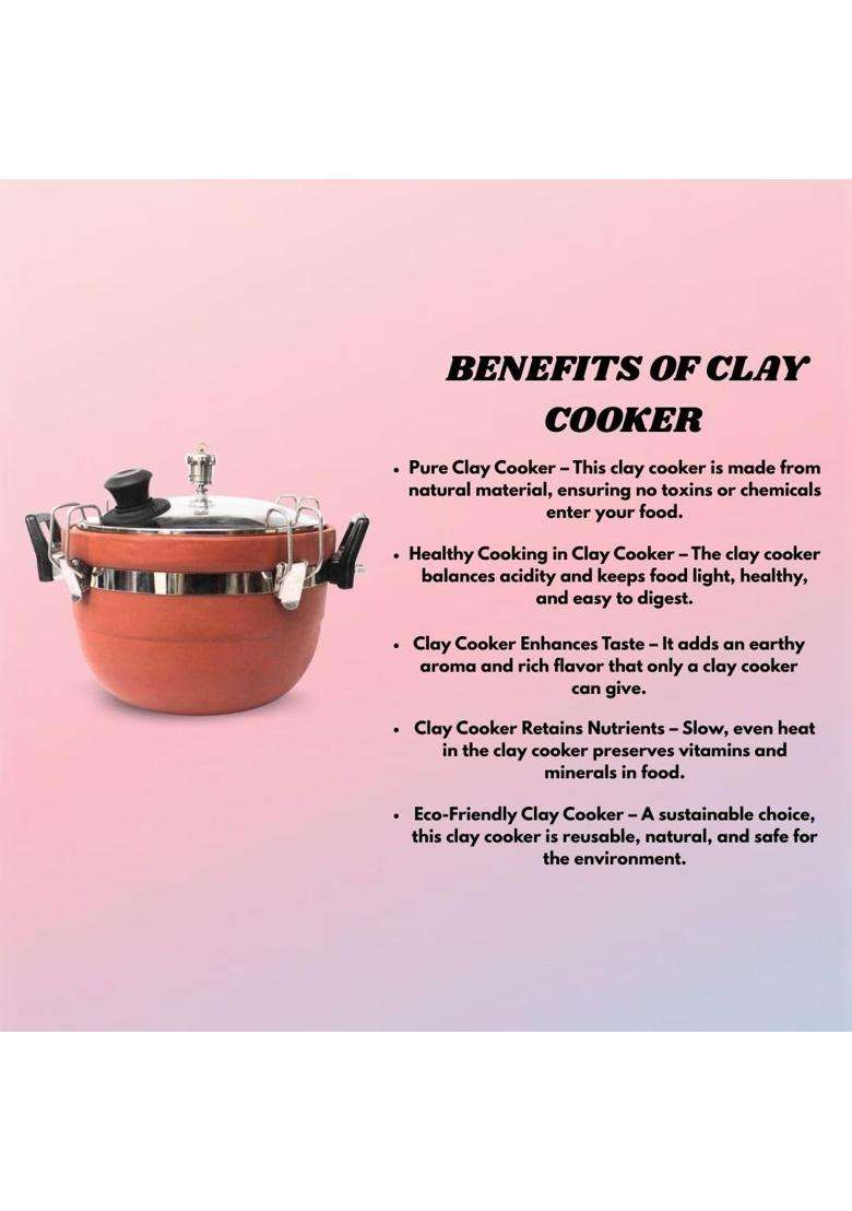 Terra Charms Clay Cooker Handmade Mitti Cooker for Curry | 3 L | 3.2 Qt - Indya