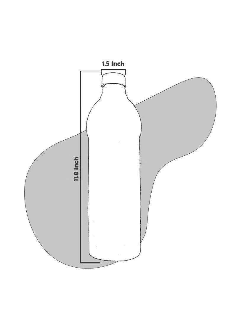 Minely Worldwide Retails Mitti Water Bottle for Home and Office | 1000 ml | 33.8 fl oz | Handcrafted - Indya
