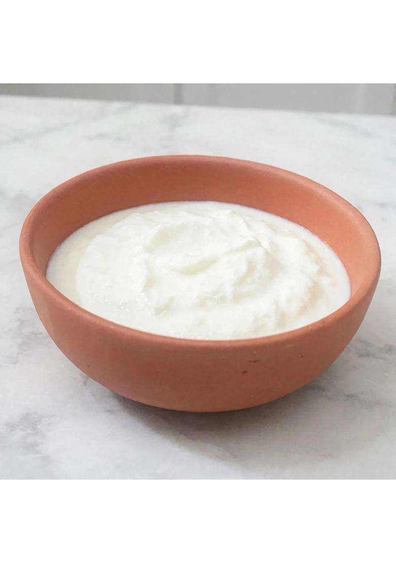 Bhanvi Handmade Terracotta Clay Oven Bowl Curd Pot | 500 ml | 16.9 fl oz - Indya