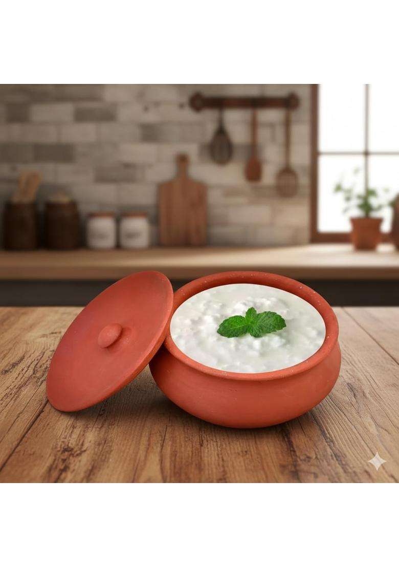 SHRIYAM CRAFT Terracotta Clay Pot with Lid for Curd | 500 ml | 16.9 fl oz | Handcrafted - Indya