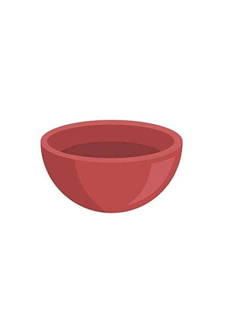 Bhanvi Earthen Gallery Stylish and Unique Terracotta Clay Dessert Bowl Soup Dessert | 500 ml | 16.9 fl oz - Indya