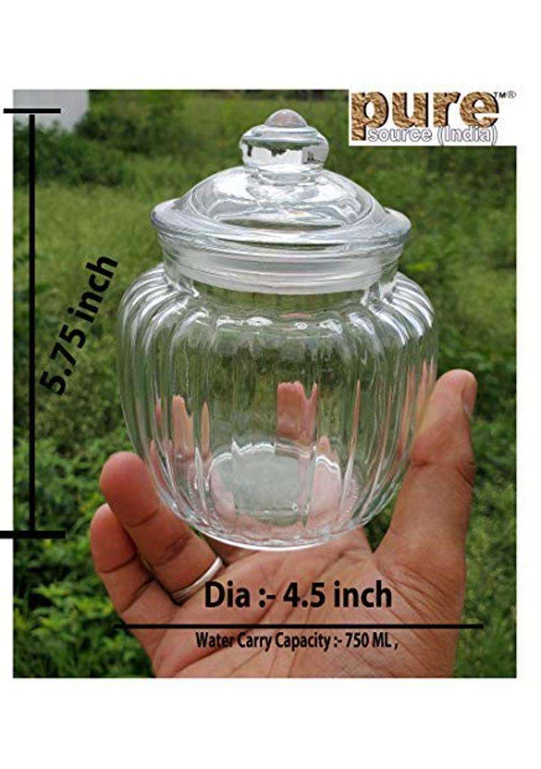 Pure Source India Matka Clay Water Pot Type Glass Pickle Jar | 500 ml | 16.9 fl oz - Indya