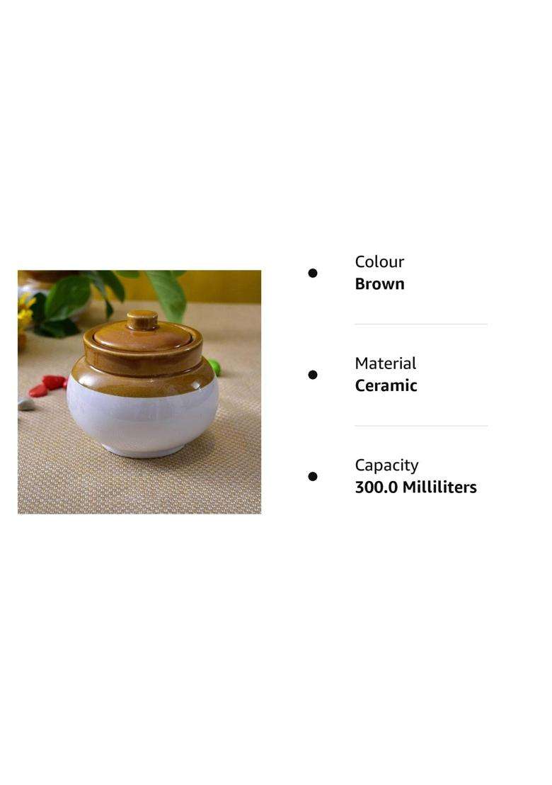 SHRIYAM CRAFT Ceramic Jar Food Storage Jar | 300 ml | 10.1 fl oz - Indya