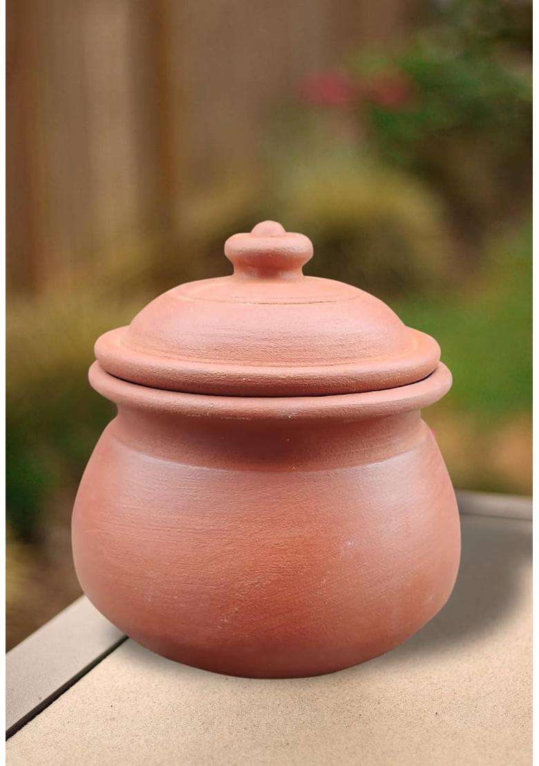 EZAHK Eco Clay Curd Bowl Pot with Lid | 500 ml | 16.9 fl oz - Indya
