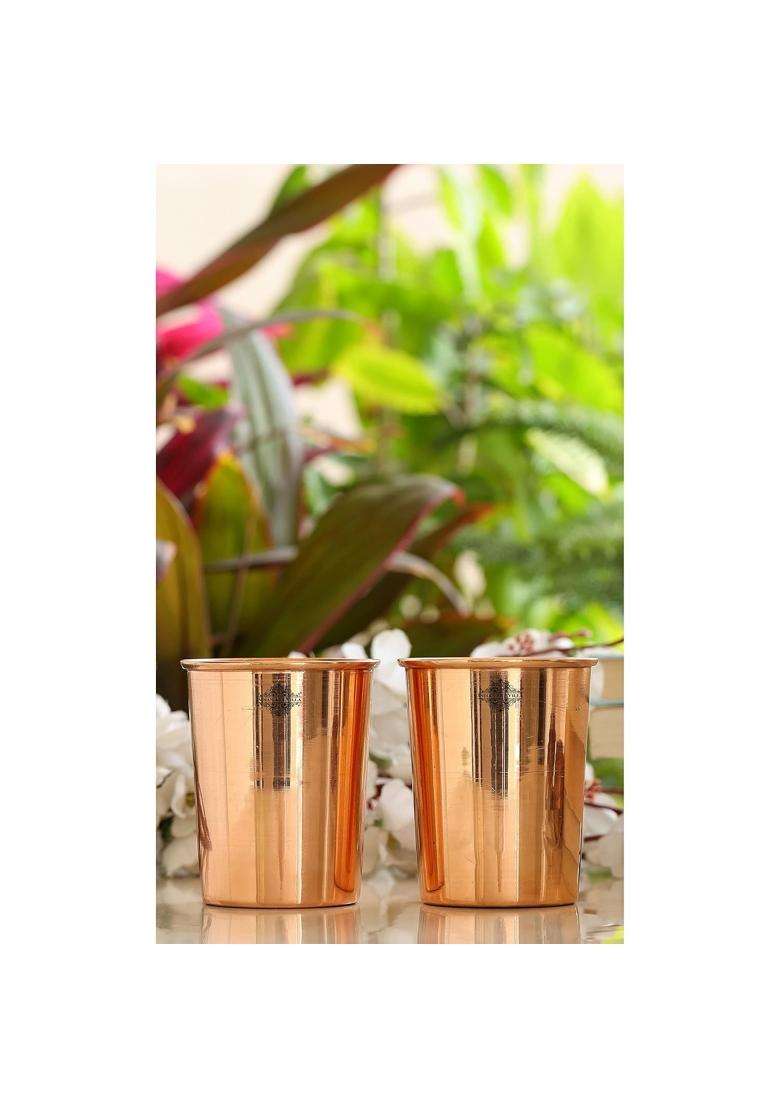 INDIAN ART VILLA Copper Glass Tumbler Cup | 300 ml | 10.1 fl oz | 2-Piece Set - Indya