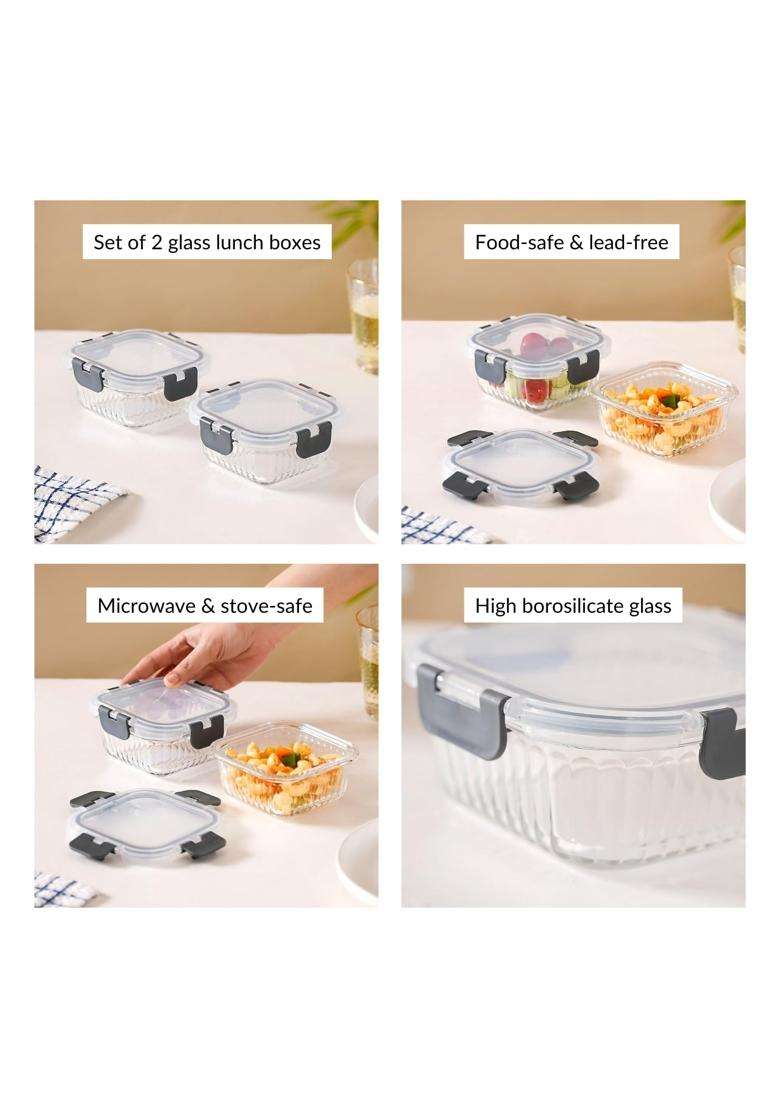 Nestasia Glass Transparent Lunch Box for Women and Men | 300 ml | 10.1 fl oz | 2-Piece Set | Dishwasher Safe | Microwave Safe | Leak Proof - Indya