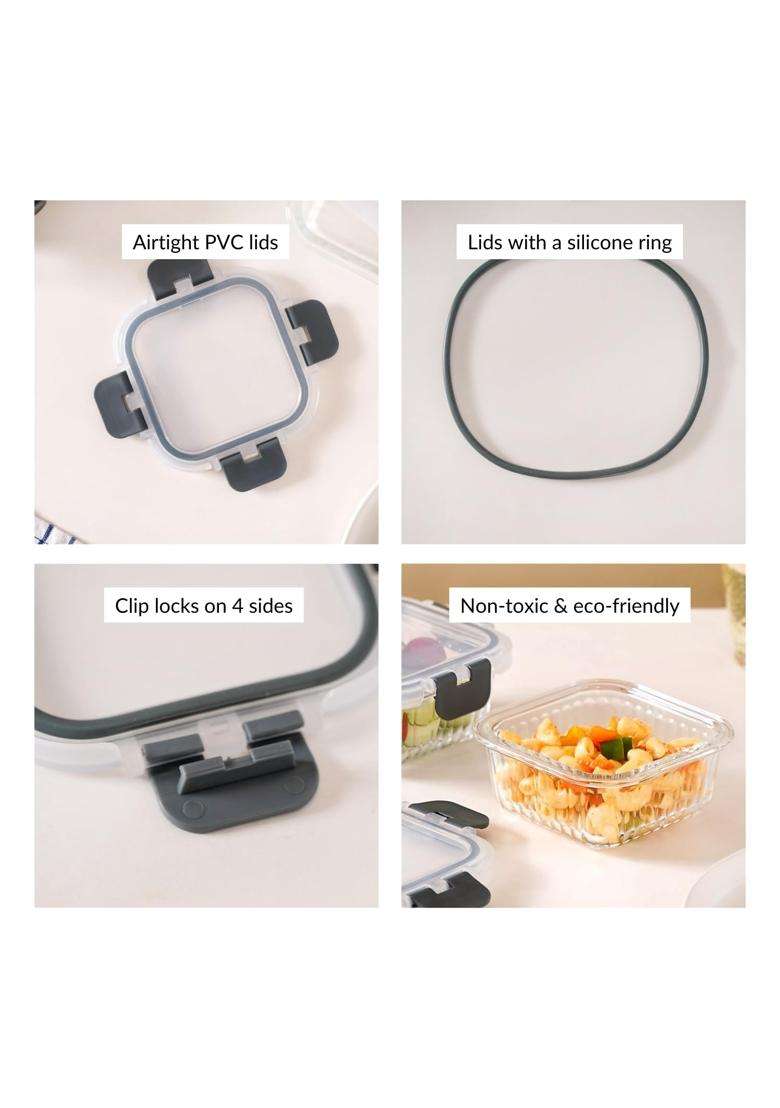 Nestasia Glass Transparent Lunch Box for Women and Men | 300 ml | 10.1 fl oz | 2-Piece Set | Dishwasher Safe | Microwave Safe | Leak Proof - Indya