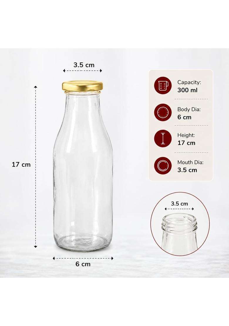 Pure Source India Glass Bottle | 300 ml | 10.1 fl oz | 6-Piece Set - Indya