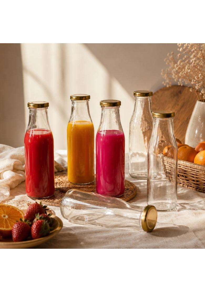 Pure Source India. Milk Water and Juice Glass Bottle with Air Tight Cap | 500 ml | 16.9 fl oz | 6-Piece Set - Indya