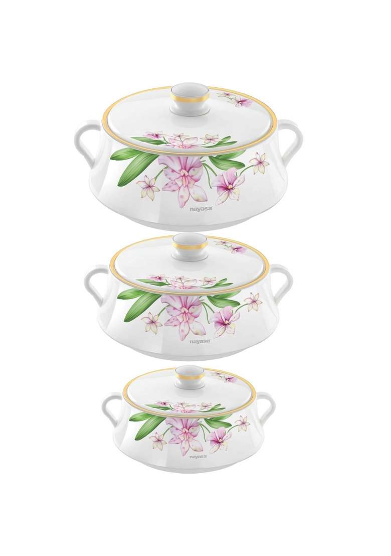 Nayasa Plastic Casserole | 1000 ml | 33.8 fl oz | 3-Piece Set - Indya