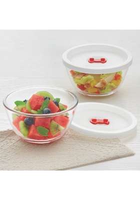 Borosil | 500 ml | 16.9 fl oz | Pack of 2 | Dishwasher Safe | Microwave Safe | With Lid