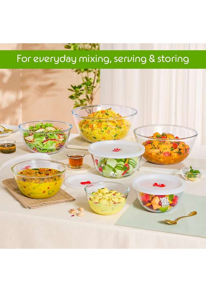 Borosil | 500 ml | 16.9 fl oz | Pack of 2 | Dishwasher Safe | Microwave Safe | With Lid - Indya