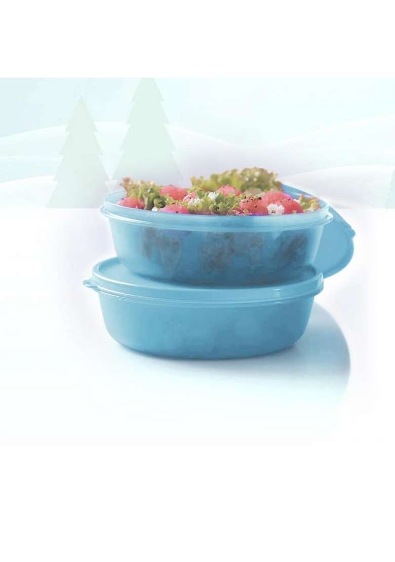 Tupperware Sky Blue Color Plastic Ss Bowl Safe and Leak Proof Containers | 1 L | 1.1 Qt | Pack of 2 - Indya