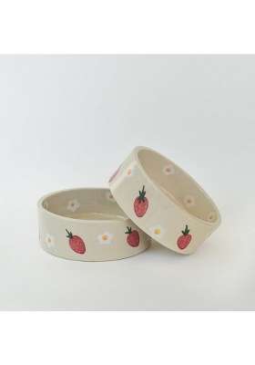 QSHI Studio Strawberry Breakfast Bowl Dishwasher Safe Adorable Microwave Ceramic Bowl Cute | 300 ml | 10.1 fl oz | 2-Piece Set