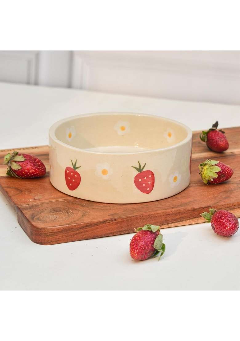 QSHI Studio Strawberry Breakfast Bowl Dishwasher Safe Adorable Microwave Ceramic Bowl Cute | 300 ml | 10.1 fl oz | 2-Piece Set - Indya