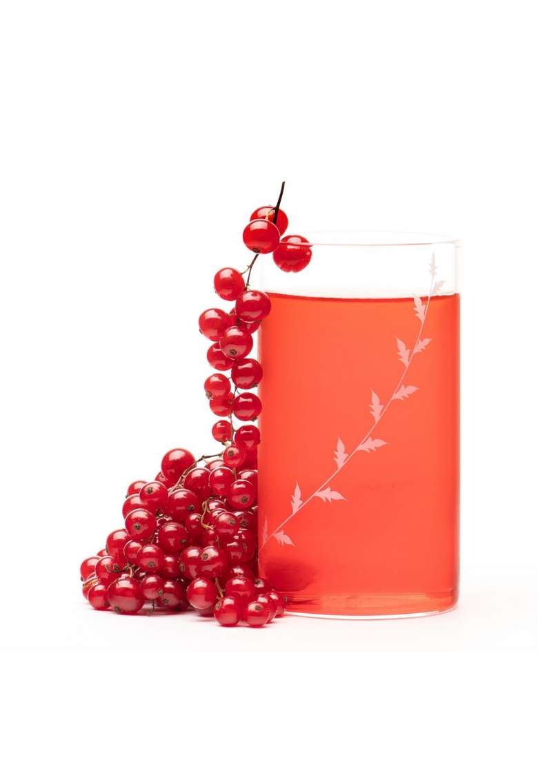 Borosil Vision Transparent Drinking Glass | 350 ml | 11.8 fl oz | Pack of 6 | Dishwasher Safe | Microwave Safe - Indya