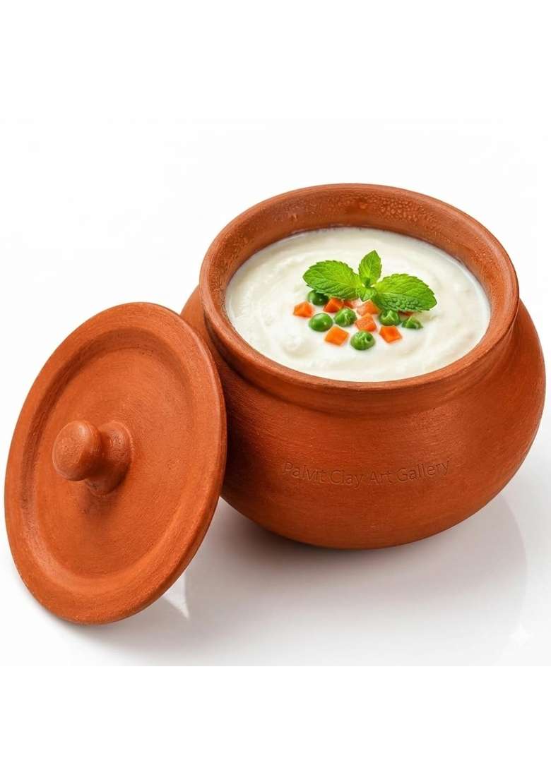 PALVIT CLAY ART GALLERY Hand Craft Clay Pot with Lid Dahi Handi for Kitchen | 500 ml | 16.9 fl oz - Indya