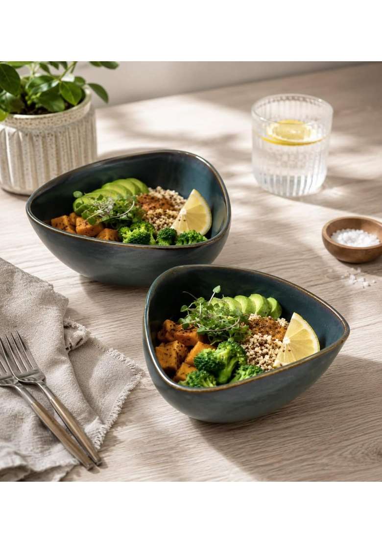 VOIDROP Rustic Dark Blue Ceramic Bowls for Kitchen Dining Table Decor | 500 ml | 16.9 fl oz | 2-Piece Set | Dishwasher Safe | Microwave Safe - Indya